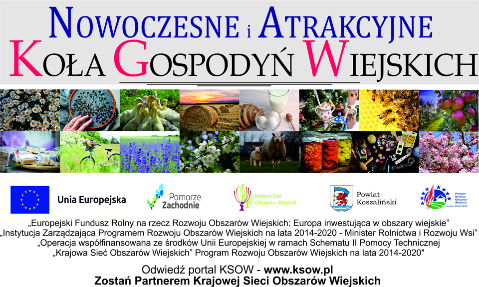 Nowoczesne i Atrakcyjne Koła Gospodyń Wiejskich